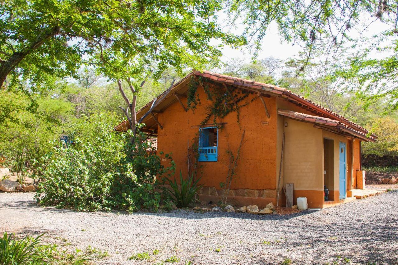 Nomad Hostal - בריצ'ארה מראה חיצוני תמונה